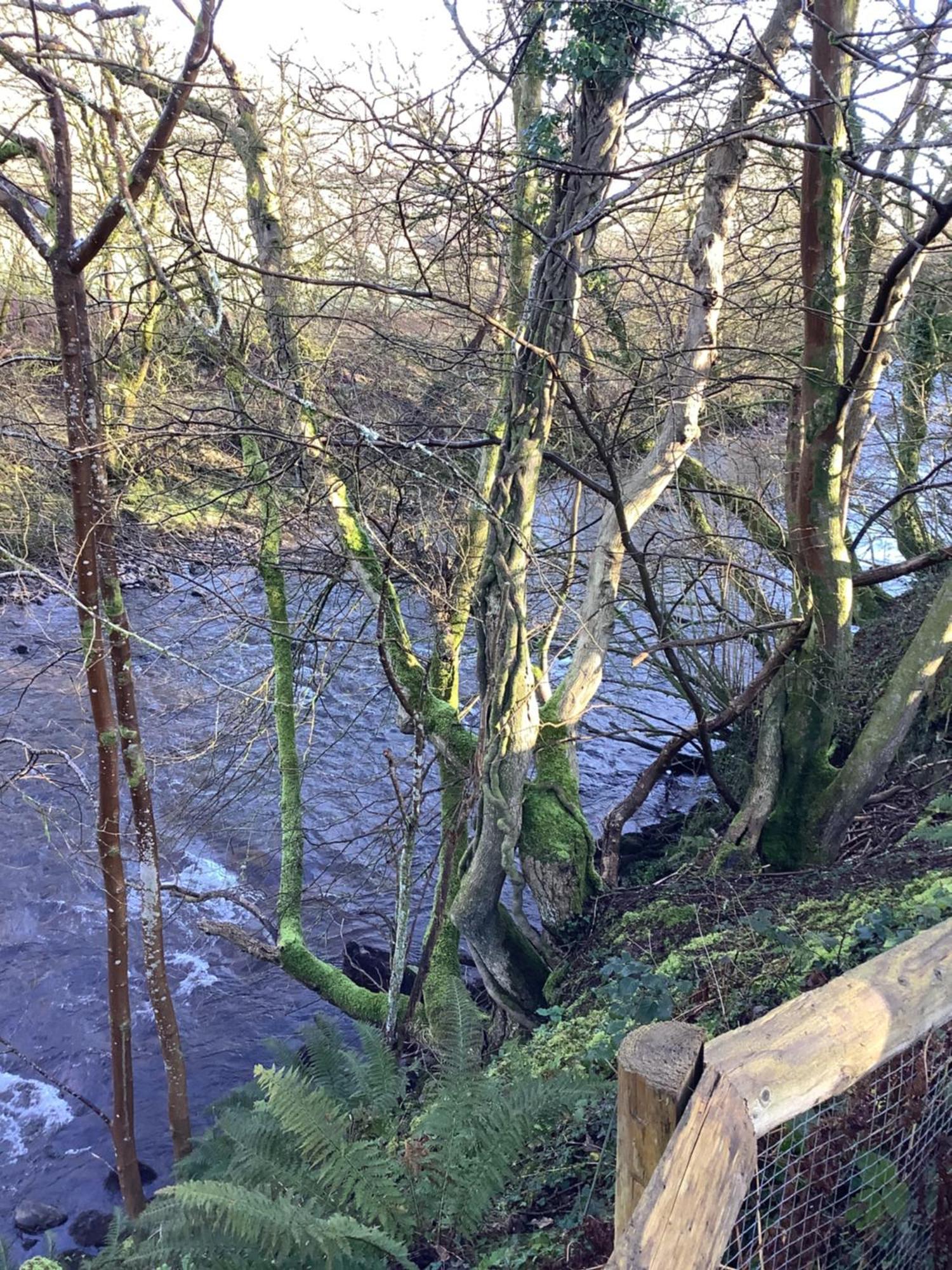 Little London Bed & Breakfast And Glamping Pod Hotel Abercraf Exterior foto